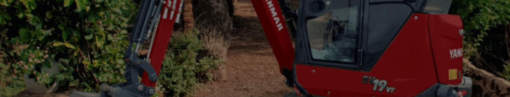 topbanner